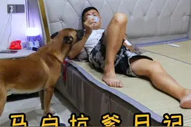 马户坑爹日记 亮仔拉肚子家里没纸了，让马户去拿纸，没想到马户......看完有惊喜。#忠犬马户 #狗狗成精了视频封面