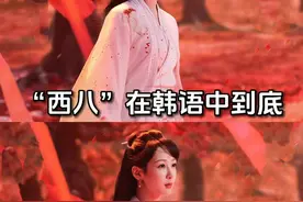 “西八”是什么程度的脏话？ #韩语 #热门 #学韩语