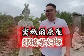 窦娥原型你知道是谁吗？ #历史人物 #窦娥 #历史故事