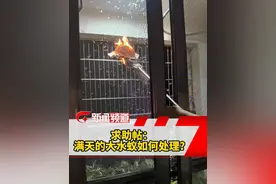 密密麻麻，广西大量出现！紧急提醒：雨后赶紧关窗#大水蚁 #密集恐惧症 #处理办法 #雨后 #广西dou知道视频封面