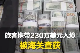 海关查获！旅客携带230万美元入境。海关提醒：超过等值5000美元应书面申报视频封面