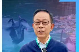 每当重要时刻来临，总会有“黑天鹅事件”出没 但是关于“黑天鹅”你真的了解吗？#硬核深度计划 #黑天鹅 #科普 #国际新闻视频封面