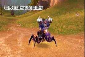 细数60版本猎人在团本中的骚操作 不会操作进不了团本 #魔兽世界视频封面