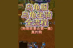 乌龟服乌龟坐骑全流程，18级就可以获得，本周暗月马戏团在联盟方