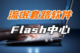 教你怎么下载到正确的Flash player插件！ #电脑