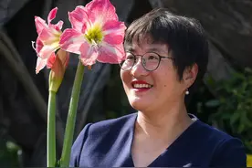 8分钟朱顶红养花全教程，新手看这个就够了 #朱顶红 #爱生活爱养花 #种植小技巧 #花卉绿植 #海蒂的花园 @抖音短视频