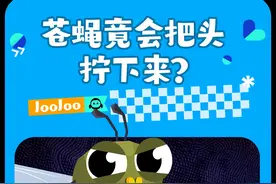 苍蝇真的会把头搓下来么？#无头苍蝇 #神奇生物 #科普 #家长收藏孩子受益 #轻漫计划视频封面