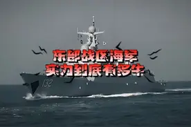 东部战区海军的实力到底有多牛？ #军事科普 #军迷发烧友视频封面