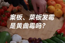 案板、菜板发霉是黄曲霉吗？#黄曲霉检测 #黄曲霉毒素b1检测卡