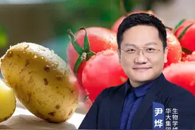 马铃薯竟是番茄的“混血后代” #尹烨科普  #土豆  #西红柿  #杂交