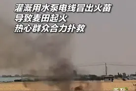 灌溉用水泵电线冒出火苗导致麦田起火，热心群众合力将其扑灭。为他们点赞！#秀我中国  #山东菏泽  #扑灭麦田火灾视频封面