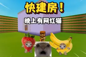 迷你世界：快建房！晚上有网红猫！ 迷你世界：快建房