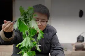 春天，当然要吃一顿带刺的野菜火锅 #尝一口春天的味道 #新农人计划2025  #来一口乡间春分的味道