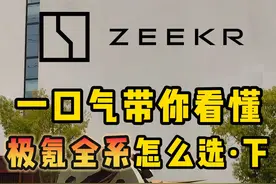 一口气带你看懂，极氪全系怎么选 #极氪 #极氪009 #极氪MIX