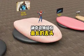 神奇动物结构最长的舌头有多长你知道吗视频封面