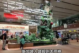 可以带烟酒入境新加坡吗？ 新加坡对于烟酒入境也有严格限制视频封面