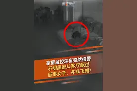 诡异！近日，重庆一女子深夜家里的监控突然报警，查看监控发现一团不明黑影从客厅飘过！一番检查，却并未发现任何异常。不明黑影，到底是什么呢？（来源：弄晴）#诡异事件 #监控  #悬疑 @抖音短视频视频封面