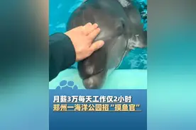 月薪3万每天工作仅2小时！郑州一海洋公园招“摸鱼官”，带薪试岗，日薪高达千元#河南dou知道 #大象主播说