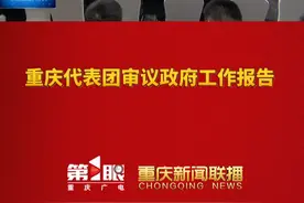 重庆新闻联播 | 两会专递 · 重庆代表团审议政府工作报告 #第1眼看2025全国两会视频封面
