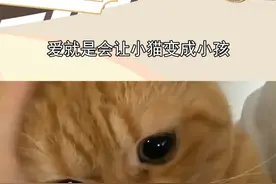 爱就是会让小猫变成小孩，那些被弃养的小猫，也会觉得自己长大了