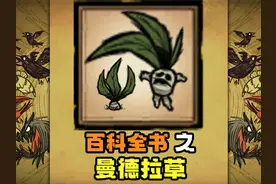 【饥荒联机】百科全书之——大补之物“曼德拉草” #饥荒