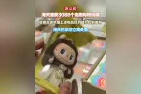 海关查获3086个泡泡玛特玩偶 旅客自述携带上述物品目的是为代购谋利 海关已依法立案处置