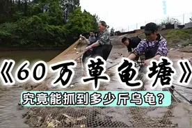 小飞哥六十万包下龟塘，究竟能否回本？#户外 #三农 #新农人计划2024视频封面