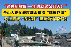“当天拉回来立马晒，这种新鲜度，一年也就这么几天。”这几天，舟山人正忙着趁潮水出海捕捞“糯米虾潺”。晒成“龙头鲓”，蒸熟油炸都好吃！（画面来源：@阿拉小陈姐  六横新闻中心）#舟山 #这就是舟山 #六横岛 #海鲜视频封面
