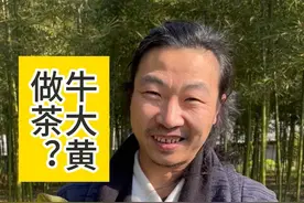 万物皆可茶：简简单单用绿茶工艺做牛大黄！ #万物皆可茶 #手工茶 #茶