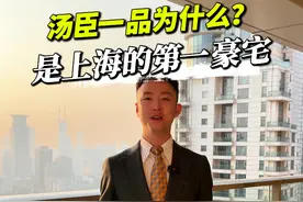 蛇年携福至，祝刷到的每一位今年都住进汤臣一品 #汤臣一品 #上海 #豪宅 #大平层 #江景房视频封面