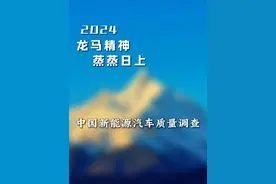 谁才是真正的遥遥领先？ #新能源汽车 #中国汽车质量网 #汽车质量排行榜 #国产车 #汽车知识视频封面