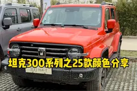 25款坦克300HI4-T车型的颜色，你会怎么选择呢？ #坦克300 #坦克300Hi4T怎么样 #坦克300Hi4T潮玩都市 #坦克300潮野时尚搭子 #25款坦克300来了