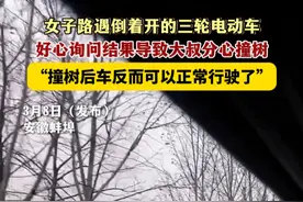 3月8日（发布），安徽蚌埠。女子路遇倒着开的三轮电动车，好心询问结果导致大叔分心撞树。关注👉@小政视频 #三轮电动车 #万万没想到 #蚌埠住了 #大叔也疯狂 （来源@💫胖瘦在天 、@河北交通广播 ）视频封面