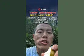 最高奖10万元！“七星山杯”荒野求生决赛第4天：四川王大力开启“吃播秀”