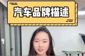 汽车品牌的互联网昵称，粪叉子是谁，过于接地气了哈哈哈 #内容过于真实 #办公室游戏 #汽车 @品牌办公室视频封面