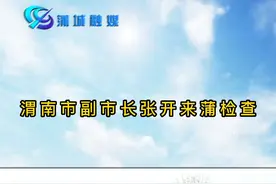 渭南市副市长张开来蒲检查视频封面