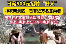 日薪500元招聘“野人”#神农架景区已有近万人来应聘野人NPC视频封面