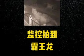 监控清晰的拍到霸王龙？还有巨大的爪痕？这究竟是真是假？视频封面