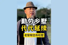 勤劳乡墅，代代延续 #自建房 #别墅设计 #户型分析与讲解 #户型图视频封面