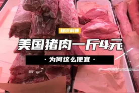 美国猪肉为何这么便宜？一斤才卖4元，看完养殖加工过程就明白 （3）#养猪 #猪肉 #科普 #涨知识视频封面