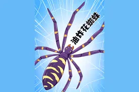 有些蜘蛛表面上长得“毛骨悚然”，背地里却是一道美食——油炸花蜘蛛#美食 #奇葩美食 #冷知识 #轻漫计划