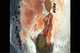 帕米尔的黄金瞳孔——"恶魔之眼"
帕米尔高原木吉乡，15座休眠火山口如大地裂开的眼眸，其中直径达200米的"恶魔之眼"最为震撼。这座新生代火山口经千万年地质演化，积蓄的硫磺矿物在环形坑壁沉淀出金褐色纹路，与中央碧蓝的冰川融水形成强烈色差。每当夕阳西斜，火山口便化作镶嵌在昆仑雪山间的琥珀瞳孔，硫磺结晶带如同充血的眼部毛细血管，柯尔克孜族传说中，这是山神监视人间的法眼。