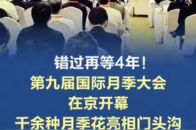 第九届国际月季大会在京开幕 ，千余种月季花亮相门头沟 视频封面