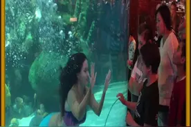 美人鱼是怎么长时间在水里呼吸的 #涨知识