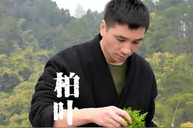 古代人把柏树叶做成了香 #乡村味道 #香文化  #2024抖音非遗大赏  #百young非遗计划  #非遗守护人