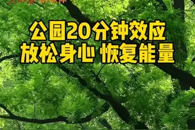 你知道公园20分钟效应吗？在公园里呆上20分钟，就能放松身心，恢复能量！