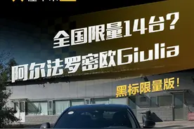 全国限量14台？#阿尔法罗密欧Giulia 黑标限量版！#懂车帝抢先试驾 #璇子试车真香视频封面