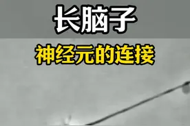 为什么脑子越用越聪明呢？ #大脑 #生命科学 #神经元 #科普知识视频封面