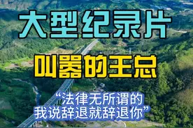 目无法律，猖狂至极！河南超威新乡子公司老总嚣张至极。视频封面