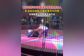 警方回应四川一马戏团表演中惊现狗熊伤人 ：系流动马戏团，不确定是否为作秀。马戏团营业执照等手续齐全。#警方回应马戏团狗熊伤人视频封面